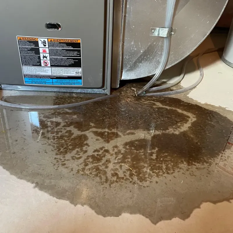 Appliance Leak Cleanup in Church Point, LA